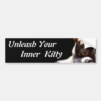 Para Coche Inner Kitty Pegatina