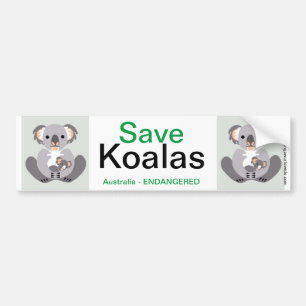 Para Coche Koala- Pegatina del parachoques