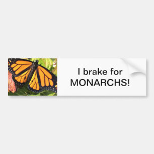 Para Coche Mariposa monarca - Pegatina del parachoques