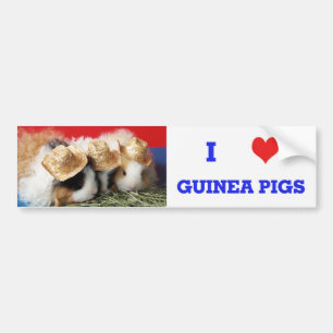 Para Coche Me Encanta La Pegatina De Los Cerdos De Guinea