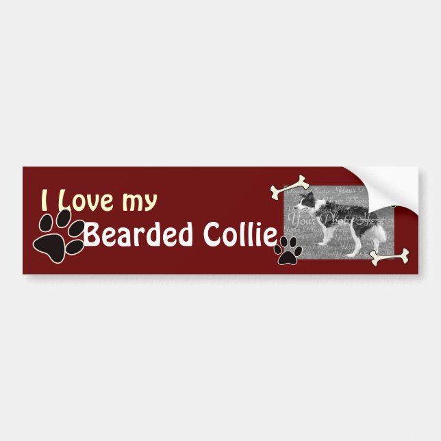 Para Coche Me encanta mi pegatina de parachoques Collie (Frente)