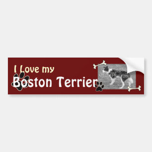 Para Coche Me encanta mi pegatina de parachoques de Boston Te