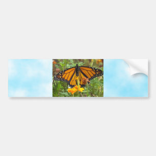 Para Coche Mi pegatina del Mariposa-parachoque del monarca