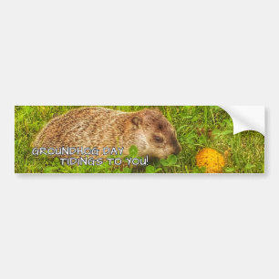 Para Coche ¡Noticias del día de la marmota a usted! pegatina