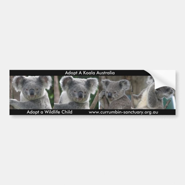 Para Coche Pegatina Adopta un Koala Australia (Frente)