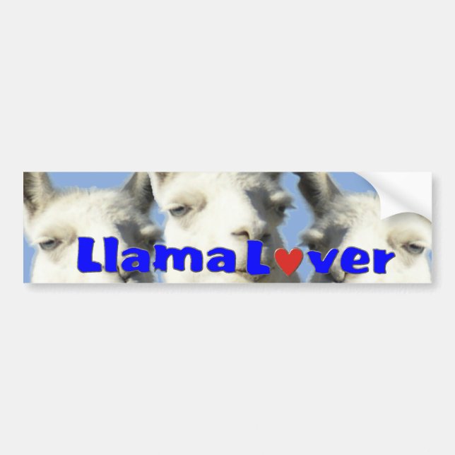 Para Coche PEGATINA de Bbumper del amante de la llama (Frente)
