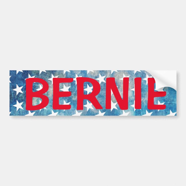 Para Coche Pegatina de Bernie Sanders (Frente)