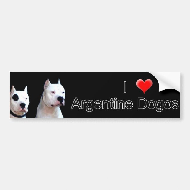 Para Coche Pegatina de Dogo Bumper de Argentina (Frente)
