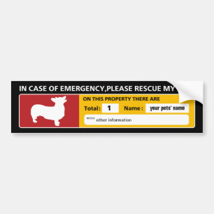 Para Coche Pegatina de emergencia (cuerpo de agua)