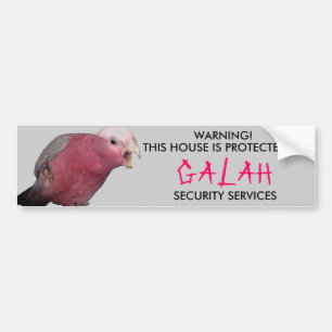 PARA COCHE PEGATINA DE GALAH