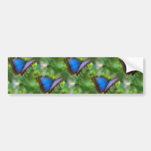Para Coche Pegatina de parachoques de mariposa azul