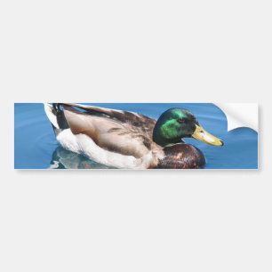Para Coche Pegatina de parachoques de pato masculino