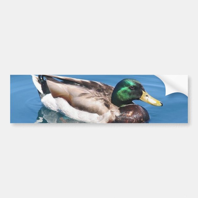 Para Coche Pegatina de parachoques de pato masculino (Frente)