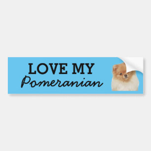 Para Coche Pegatina de parachoques de Pomerania