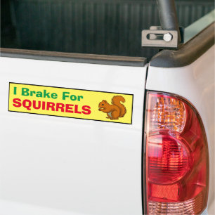 Para Coche Pegatina de parachoques - Freno por ardillas