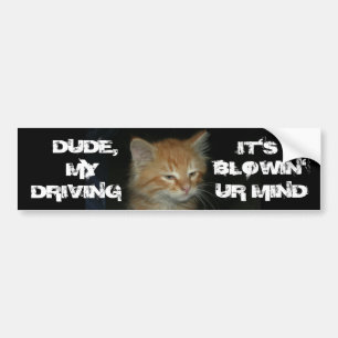 Para Coche Pegatina de parachoques Kitty "DUDE DRIVIN BLOWIN'