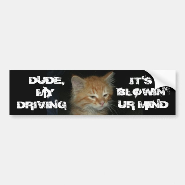 Para Coche Pegatina de parachoques Kitty "DUDE DRIVIN BLOWIN' (Frente)
