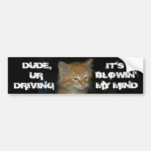 Para Coche Pegatina de parachoques Kitty "DUDE DRIVIN BLOWIN'
