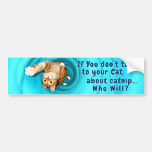 Para Coche Pegatina de parachoques Kitty Inspirations