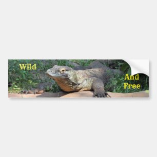 Para Coche Pegatina de parachoques Komodo Dragon libre y salv