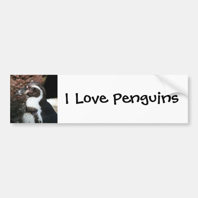 Para Coche Pegatina de parachoques pingüino (Frente)