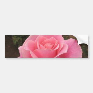 Para Coche Pegatina de parachoques rosa rosa