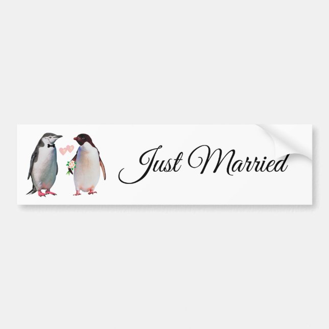 Para Coche Pegatina de Pareja de Pingüinos Adorables Recién C (Frente)