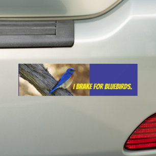 Para Coche Pegatina del parachoques