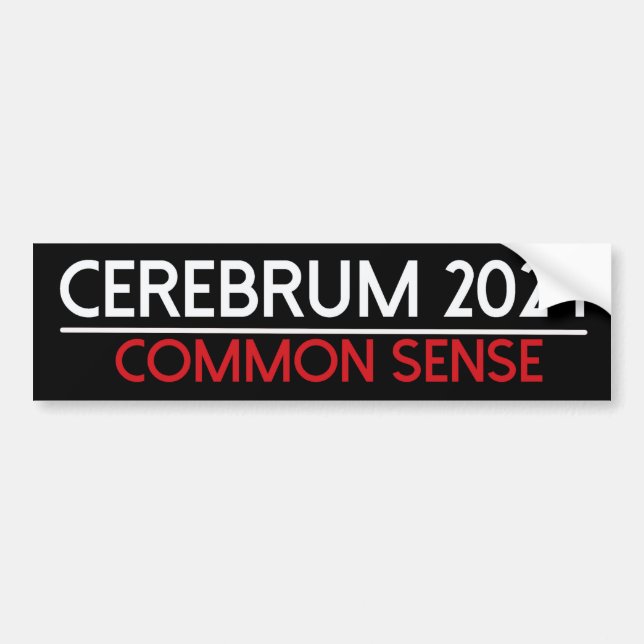 Para Coche pegatina del parachoques de cerebrum 2024 (Frente)