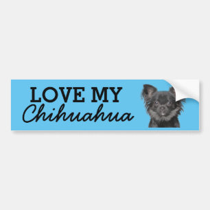 Para Coche Pegatina del parachoques de Chihuahua
