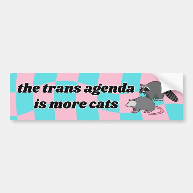 Para Coche Pegatina del parachoques de la agenda trans (Frente)