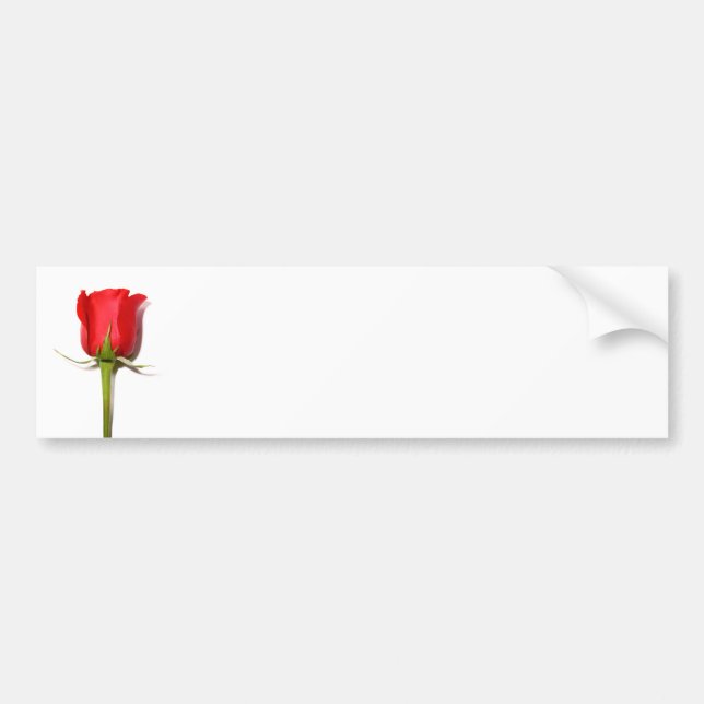 Para Coche Pegatina del parachoques de la rosa roja (Frente)