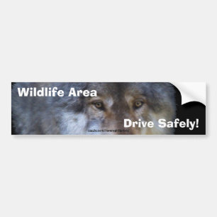 Para Coche Pegatina del parachoques de seguridad vial de Lobo