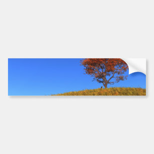 Para Coche Pegatina del parachoques del día de otoño transpar