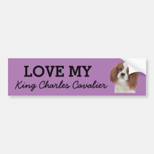Para Coche Pegatina del parachoques King Charles Cavalier