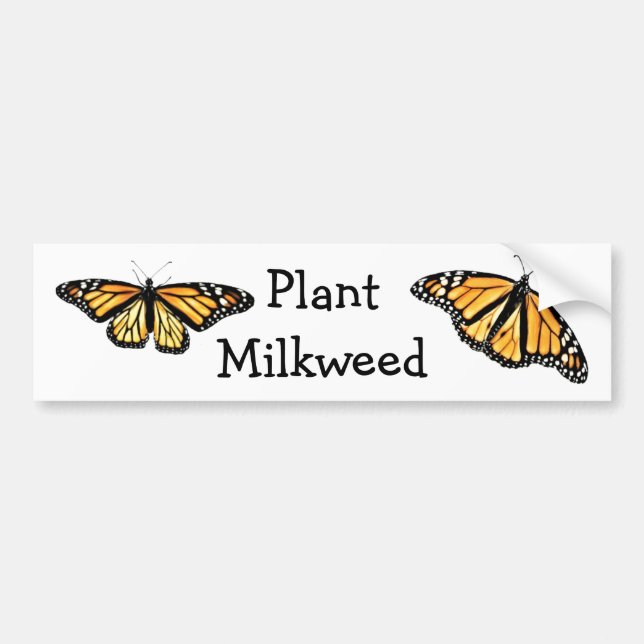 Para Coche Pegatina del parachoques - Plant Milkweed (Frente)
