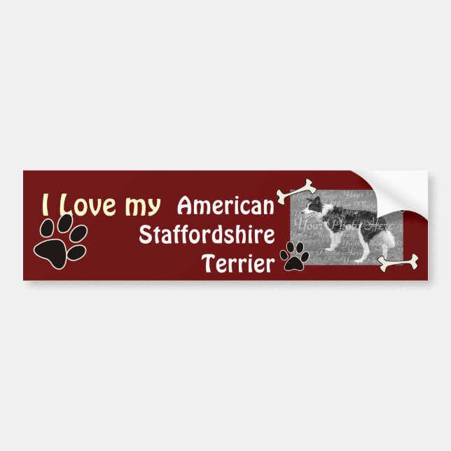 Para Coche Pegatina del parachoques Terrier de Staffordshire (Frente)