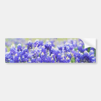 Para Coche Pegatina largo pintado del Bluebonnet