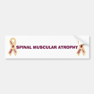 PARA COCHE PEGATINA MUSCULAR ESPINAL DE LA ATROFIA
