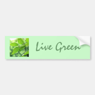 Para Coche Pegatina 'Vive Verde'