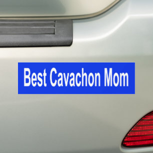 Para Coche Perro con pegatina de peluca Royal Blue Best Cavac