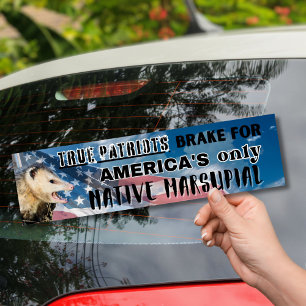 Para Coche Possum Pegatina - El único marsupial nativo de Est