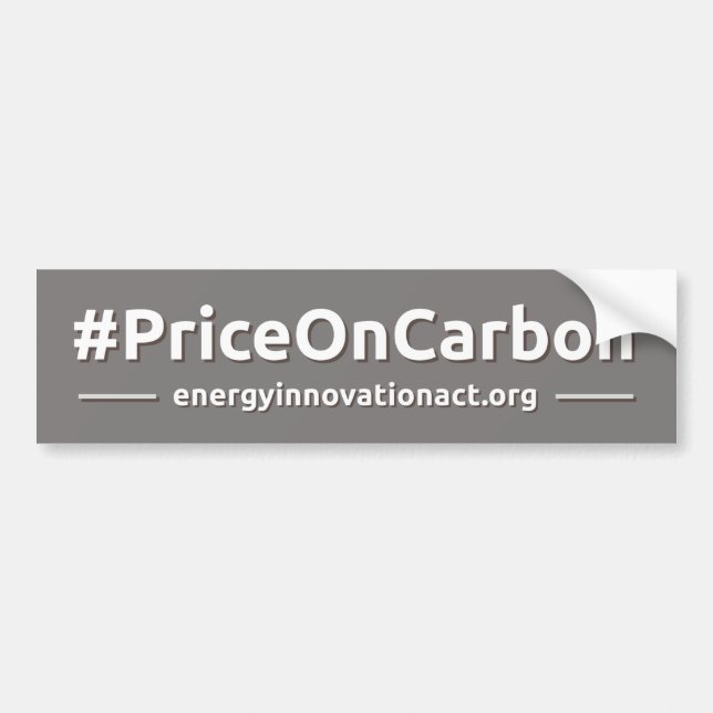 Para Coche Precio de la pegatina del parachoques de carbono (Frente)