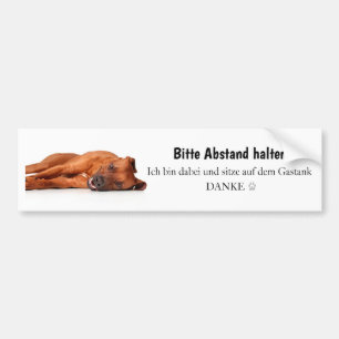 Para Coche Rhodesian Ridgeback pegatina de automóvil