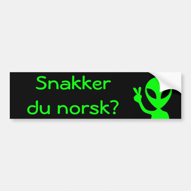 Para Coche ¿Snakker du norsk? Pegatina rectangular (Frente)