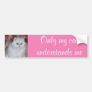 Para Coche Solamente mi gato me entiende persa de la pegatina
