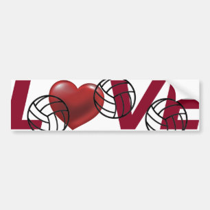 Para Coche Tornillo de voleibol, cofre de hielo y pegatina de