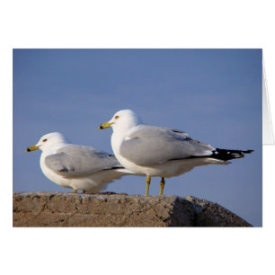 Para despegue que espera