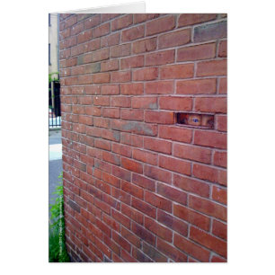 ¡para el amor de dios, montresor!