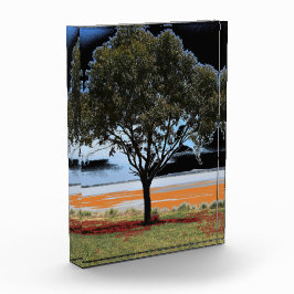 Para Fotos Bloque acrílico del árbol individual del lago Beea